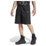 adidas Terrex Xploric Cargo Kurze Hose