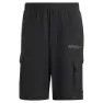 adidas Terrex Xploric Cargo Kurze Hose