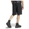 adidas Terrex Xploric Cargo Kurze Hose