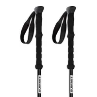 Arva Fuji Carbon 3 Parts Powerlock + Long Grip Stöcke
