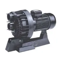 Astral 11504 Ccih 350t Gegenstrompumpe