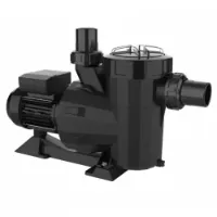 Astral Victoria Plus 21500 L/h 1.10 Kw 1.5 Cv Mono 230/400v Iii Selbstansaugende Pumpe