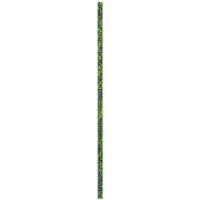 Beal Spelenium Unicore 8.5 Mm Seil