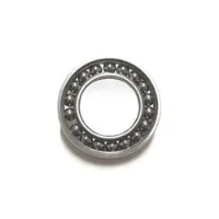 BLACK BEARING 6902-2rs Ceramic Lager