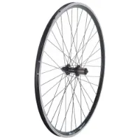 Bonin Cbt Box 28´´ Hinterrad