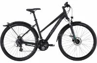 Bulls Cross Bike Street - 28 Zoll 24K Trapez