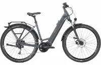 Bulls Cross Flyer EVO 2 - 29 Zoll 9K Wave