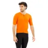 Orange rust