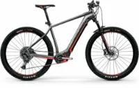 Centurion Backfire E R860i anthrazit 2022 29" 625 Wh Diamant