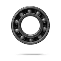 CeramicSpeed 61901 Single Lager