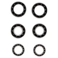 CeramicSpeed Cannondale-1 Coated Lager