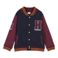 Cerda Group Cotton Brushed Harry Potter Sweatshirt