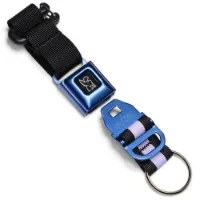 Chrome Mini Buckle Chain Schlüsselbund