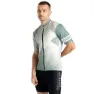Hedge greenn / aqua grey