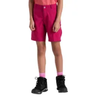 Dare 2b Reprise Ii Kurze Hose