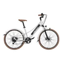 Emotorad Plymouth Elektrofahrrad