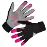 Cerise