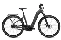 Flyer Gotour 7.23 Cold Anthracite Gloss 2023 28" 750 Wh Wave