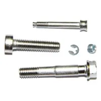 Formula Puro Bremssattelschrauben