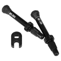 Fulcrum 2-way Fit Tubeless Ventile