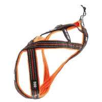 I-dog Harnais Canicross Hundegeschirr Refurbished