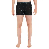 Icebreaker Merino 150 Anatomica Ski Day Boxershorts