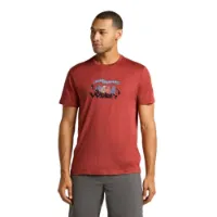 Icebreaker Merino 150 Tech Lite Hike Together Kurzarm-t-shirt