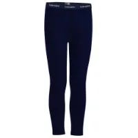 Icebreaker Merino 260 Tech Leggings