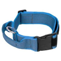 Julius K-9 Collar 40 Mm Hundehalsband