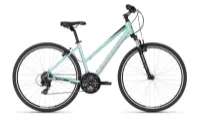 Kellys Clea 30 Desert flower 2025 28" Trapez