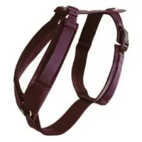 Kentucky Active Velvet Hundegeschirr