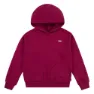 Classic red plum
