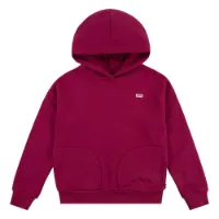 Levi's Batwing Chest Hit Kapuzenpullover