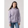 Levi's Batwing Chest Hit Kapuzenpullover