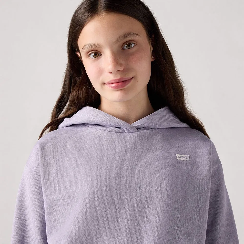 Levi's Batwing Chest Hit Kapuzenpullover