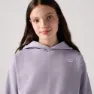 Levi's Batwing Chest Hit Kapuzenpullover
