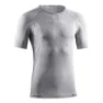 Ice gray