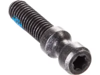 Magura Schnellspanner-Schraube für Evo 2 Torx