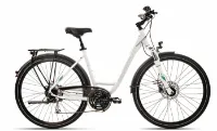 Mammut Edition DLX 7.0 - 24K Wave