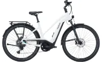Pegasus Premio Evo 11 Lite - 28 Zoll 11K Trapez