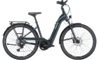 Pegasus Premio Evo 11 Lite - 28 Zoll 11K Wave