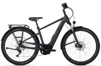 Pegasus Savino Evo 10 CX - 625Wh 10K Diamant