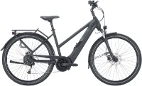 Pegasus Solero Evo 9 - 28 Zoll 750Wh 9K Trapez