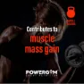 Powergym 100 Molkenprotein Schokolade 1800g, One size