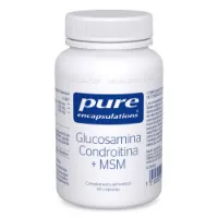 Pure Encapsulations Glucosamine Chondroitine + Msm Kappen 60 Einheiten