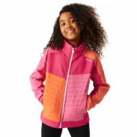 Regatta Brynden Softshelljacke