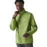 Piquant green / citron lime