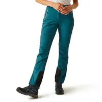 Regatta Mountain Iii Hosen