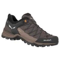 Salewa Mtn Trainer Lite Goretex Zustiegsschuhe