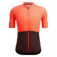 Santini Colore Riga Kurzarm-radtrikot